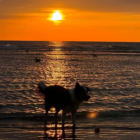 Ruime Frontaal Zeezicht Aaa Locatie Apartman *