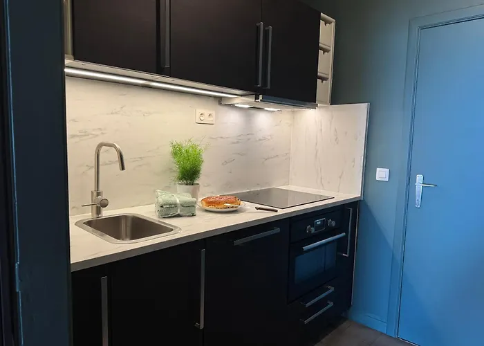 Ruime Frontaal Zeezicht Aaa Locatie Appartement Oostende