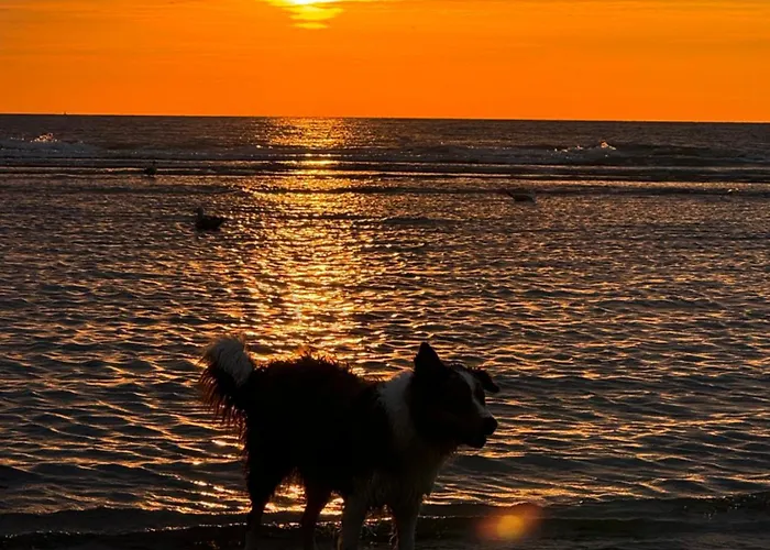 Ruime Frontaal Zeezicht Aaa Locatie Appartement *